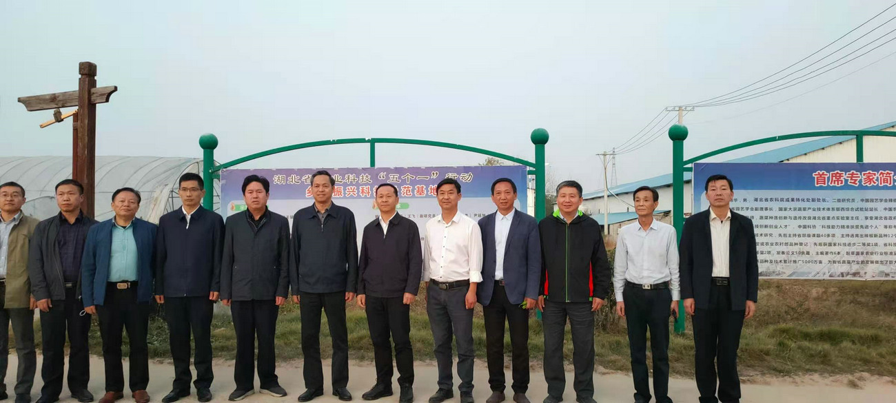 湖北省農業農村廳黨組成員、省農業科學院黨委書記劉曉洪來我公司基地調研指導工作
